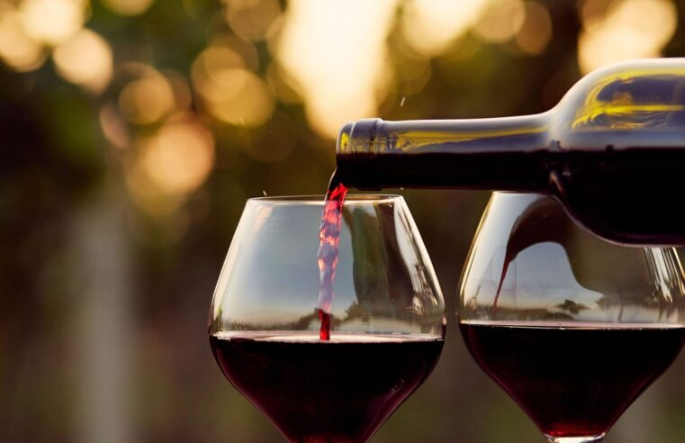 Día del vino: se celebra con más ventas y exportaciones