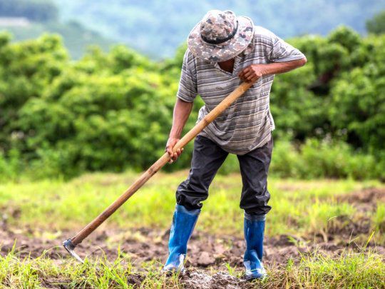 Tras el pedido de CAME, el presidente anunció la compatibilidad de planes sociales con trabajo rural registrado