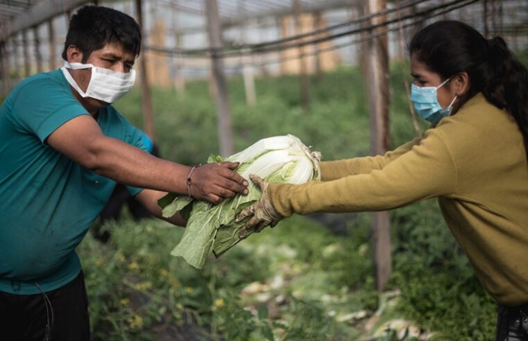 Cooperativas proponen sumar más pymes a la producción de alimentos