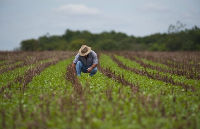 Advertencia de la patronal campestre: «El productor no da más»