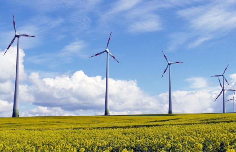 Cámara Eólica Argentina lideró producción de energía durante todo 2021