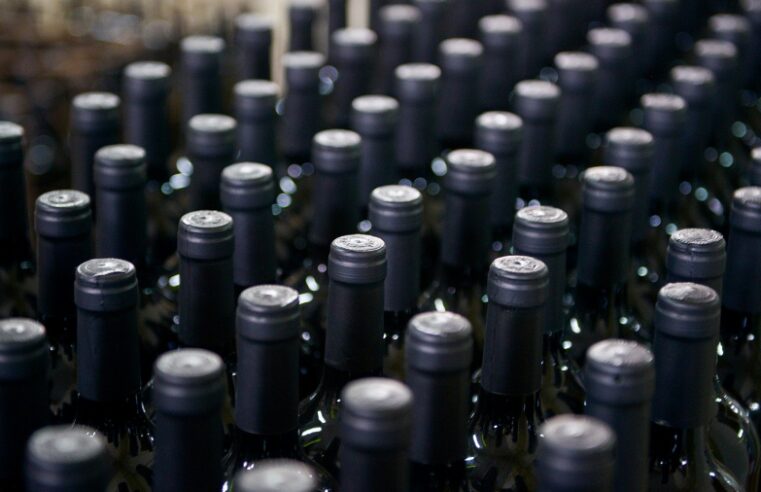 Crece en la Argentina la producción vitivinícola orgánica, así como el consumo