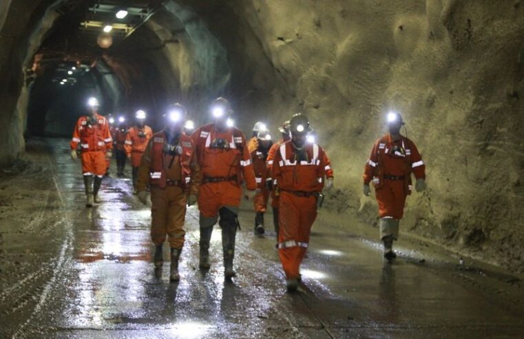 UIA y Cámara Empresaria Minera relevarán al aporte de la minería al desarrollo industrial federal