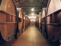 Organizan el primer foro anual de la industria vitivinícola