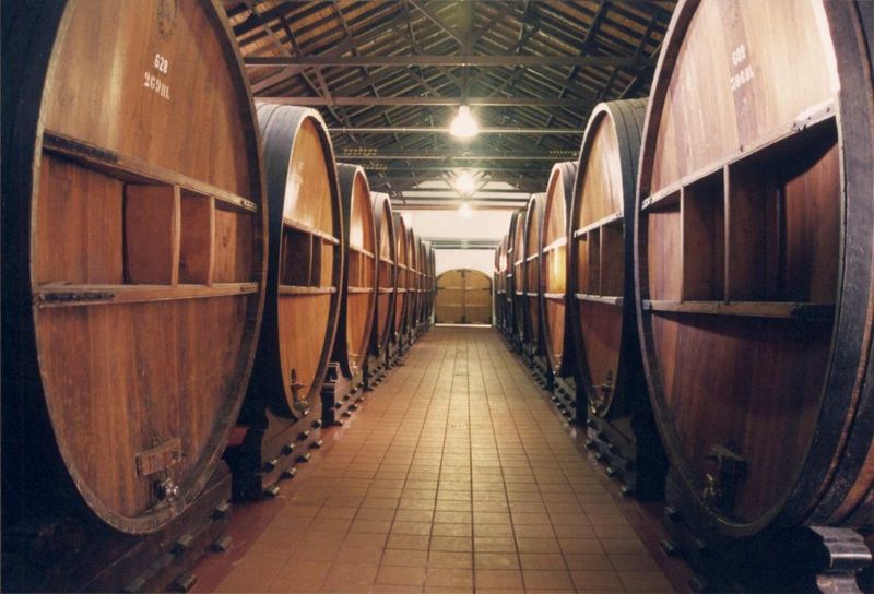 Organizan el primer foro anual de la industria vitivinícola