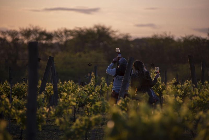 Llega la 3ra edición del Encuentro Federal de Vinos en Bodega Gamboa