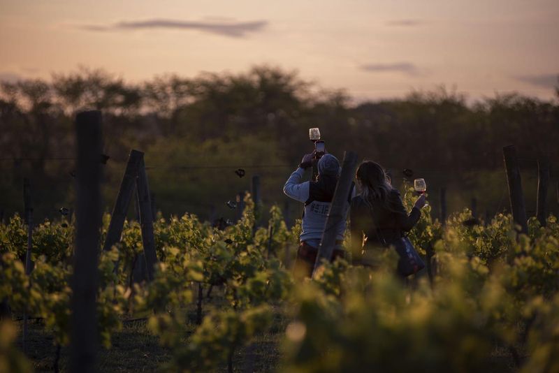 Presentaron la Huella Ambiental para el vino argentino