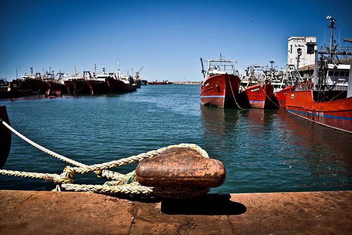 Fuerte rechazo de la UCIP a la reforma de la Ley de Pesca