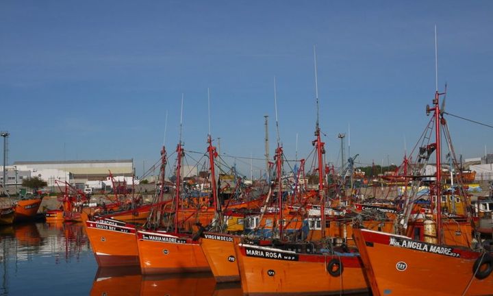 Cámaras de Frigoríficos: «Se podrían destruir 150 años de industria pesquera»