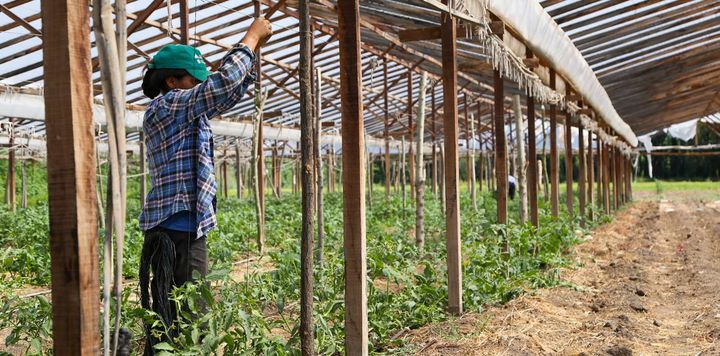 Neuquén: preocupación en el campo por la parálisis en producción