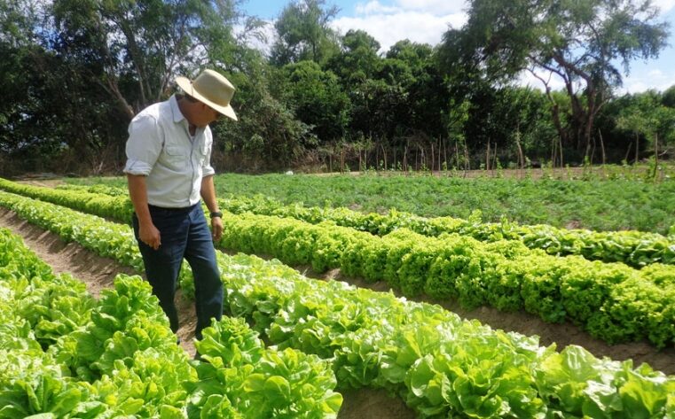 La actividad frutihortícola enfrenta un escenario de «colapso generalizado»
