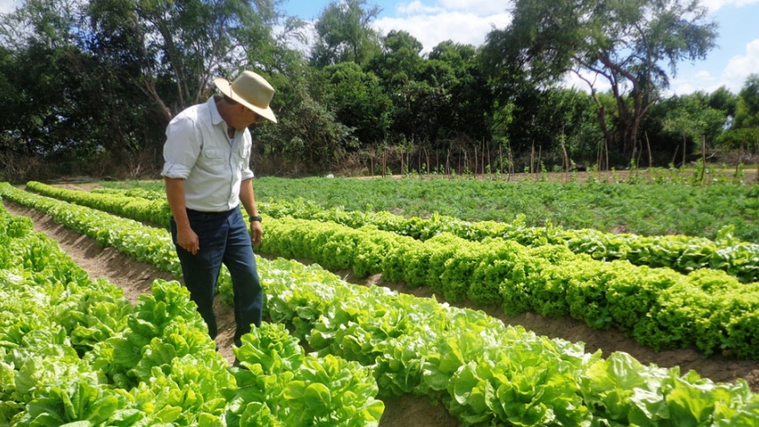 La actividad frutihortícola enfrenta un escenario de «colapso generalizado»