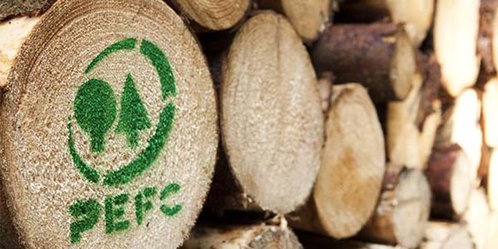 La certificación que abre mercados: PEFC lanza nueva guía de cadena de custodia