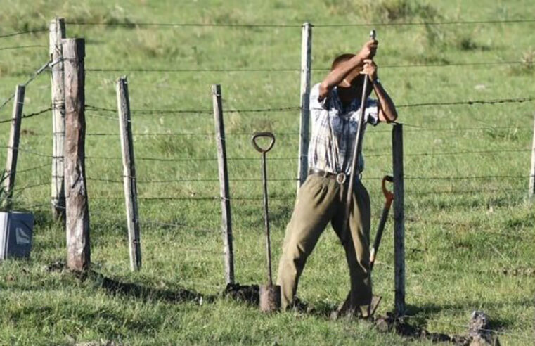 Tras el pedido de CAME, el Gobierno prorroga la compatibilidad de planes sociales con trabajo rural registrado