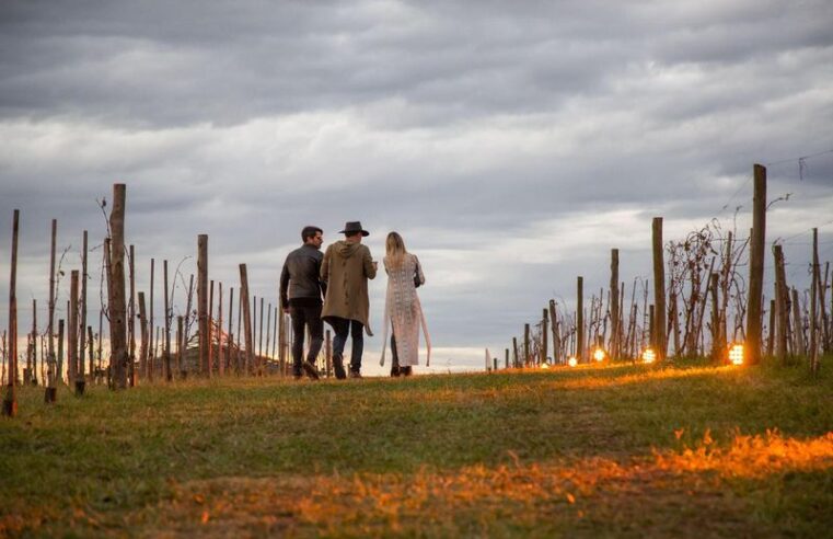 El consumo de vino sigue en picada y las bodegas consolidan otras unidades de negocio