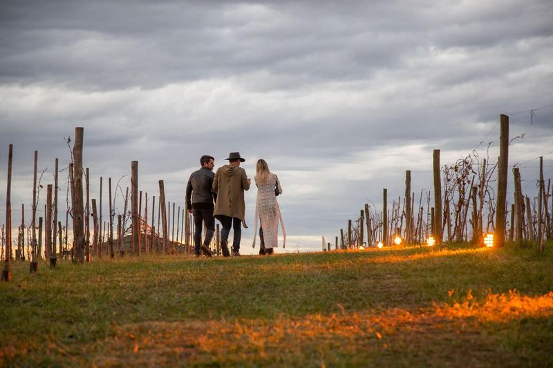 El consumo de vino sigue en picada y las bodegas consolidan otras unidades de negocio