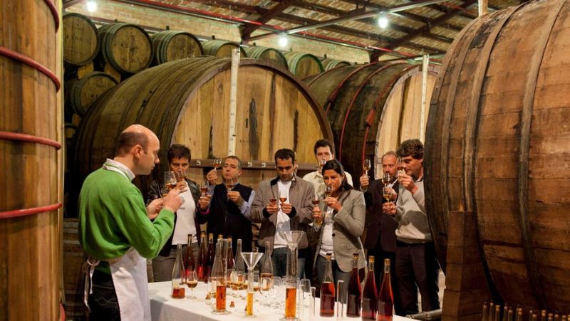 Nueva edición de Bodegas Abiertas abre el vino argentino a la comunidad